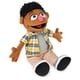 thumbnail image 2 of Muñeco de peluche GUND Sesame Street Official Tamir, 33 cm para 1 o más, 2 of 8