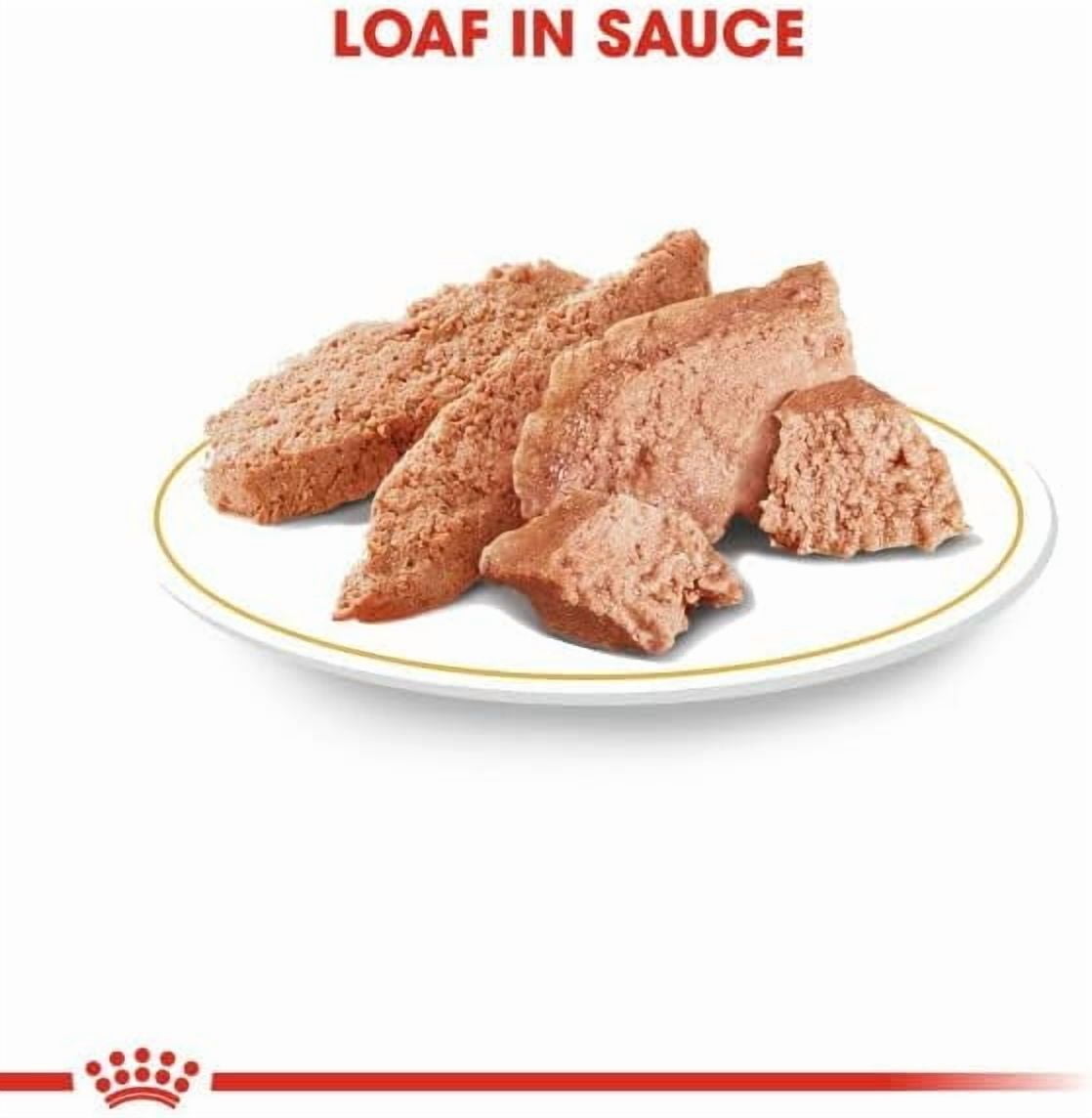 Royal Canin Yorkshire Terrier Dog Wet Food 12x85g