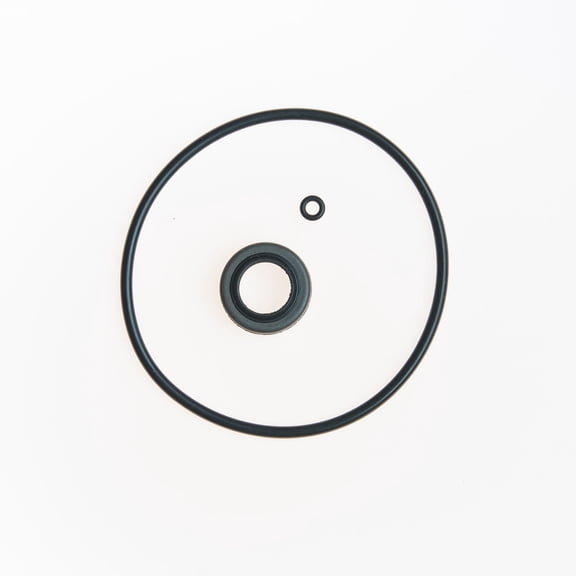 Edelmann 8553 Power Steering Gear Box Input Shaft Seal Kit Fits select: 1968-1969 PLYMOUTH SATTELITE, 1966-1976 PLYMOUTH VALIANT