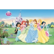 Disney Princess - Collection Wall Poster, 22.375" x 34"
