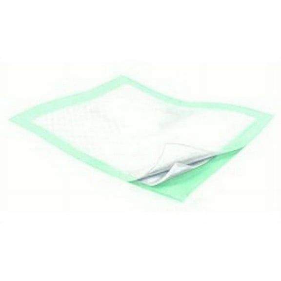 Wings Disposable Fluff Polymer Incontinence Underpad Pack of 10, Heavy Absorbency, 30 x 30 Inch (10 Count)