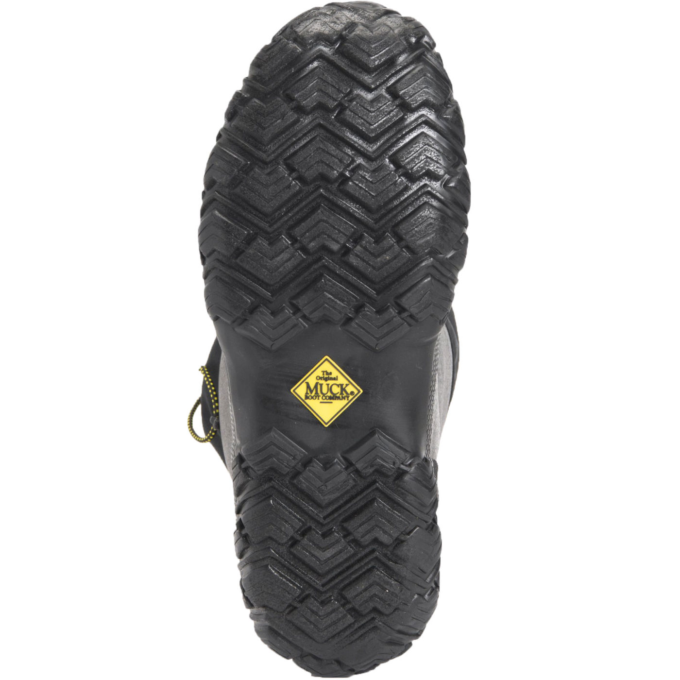Muck Boot Men's Forager Tall Boot