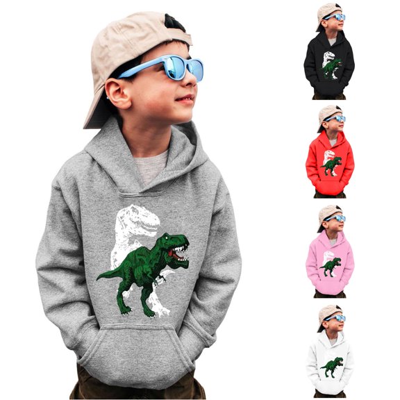 Vividxx Boys Hoodies Kids Dinosaur Print Long Sleeve Hooded Sweatshirts With Pocket Pullover Tops For Fall Winter Daily Wear 4-5 Years