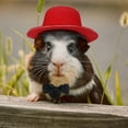 thumbnail image 7 of Small Animal Pet Hats & Bow Ties Suit, Pet Clothes Outfits Costumes for Guinea Pig Cat Kitten Rabbit Bunny Ferret Hamster Chinchilla Hedgehog Reptile Lizard Bearded Dragon, 7 of 7