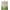 Green-grandpa, variant on Grandma Gifts Blanket 60’’x50’’, Best Gifts for Grandma, Great Grandma Birthday Gifts, Grandma Gifts from Grandchildren, Gigi Gifts for Grandma, Nana Gifts, to My Grandmother Gift Ideas