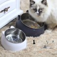 thumbnail image 2 of Cuenco de acero inoxidable para gatos y perros Cuenco doble para proteger las vértebras cervicales Cuenco para gatos Cuenco para comida para mascotas con boca inclinada, 2 of 5