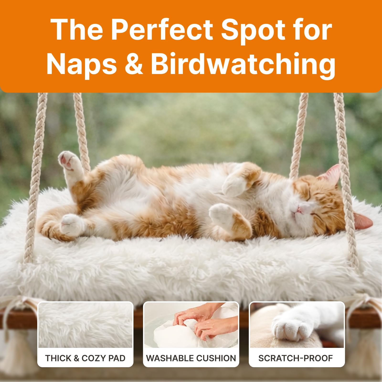 Cat Window Perch with Industrial-Grade Suction Cups - Solid Pine Wood Hammock Bed, Soft Cushion - 42 lb Capacity for Cats Inside