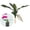 Leaf, variant on Tropical Artificial Flower 4pcs 28" Long Stem Butterfly Orchid Big Size Lifelike Phalaenopsis Real Touch Moth Orchid for Wedding Bridal Home Décor Baby Shower Centerpiece(Light Purple)