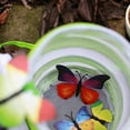thumbnail image 5 of Habitat pour Insectes et Papillons Cage Pop-Up Protection des Plantes, 5 of 5