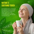 thumbnail image 4 of Té de hojas secas de guanábana FRESHDRINKUS, 115 tazas, 4 of 9