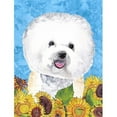 thumbnail image 1 of Carolines Treasures SC9059GF Bichon Frise Flag Garden Size, 1 of 3