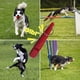 thumbnail image 2 of Silbato para perros para que dejen de ladrar los vecinos Silbato silencioso ajustable para perros Silbatos de adiestramiento para perros con cordón, 2 of 4