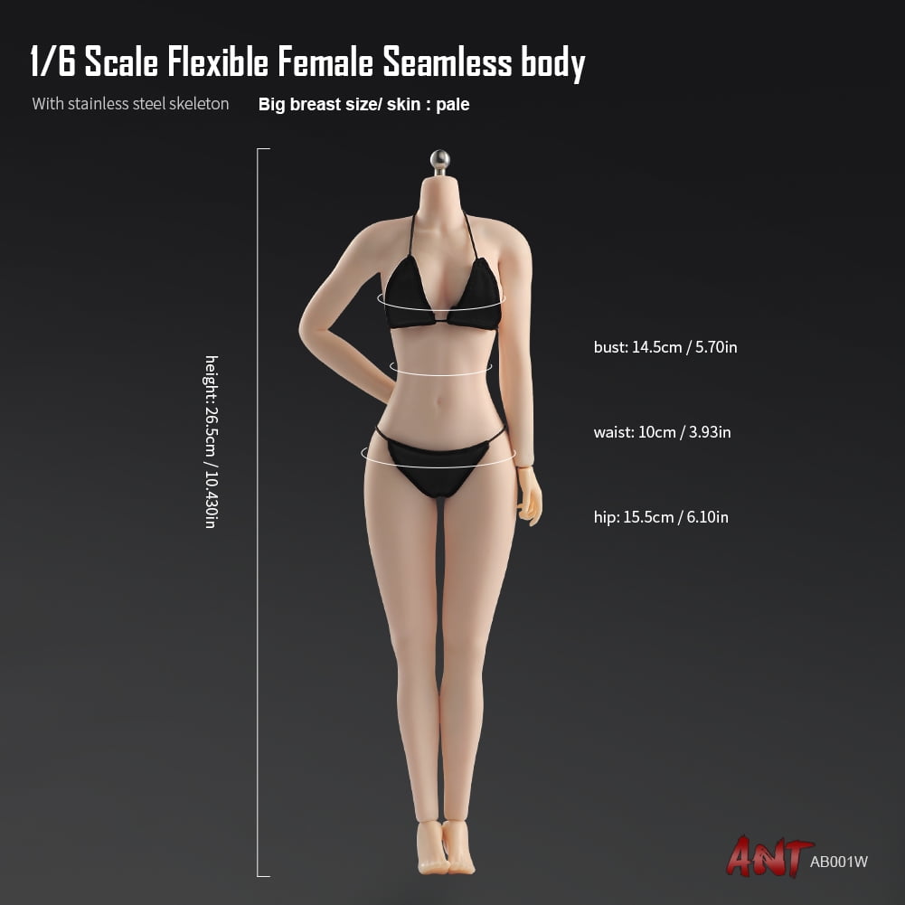 Female Body Super-Flexible Female Seamless 1/6 Scale Body with Stainless  Steel Skeleton in Suntan/Large Breast by Phicen  [PL-LB2015S09C](Anatomically Correct Female Parts) Female Seamless  Super-Flexible 1/6 Scale Body Large Breast with Anatomically Correct