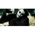 thumbnail image 1 of The Dark Knight - Joker - CANVAS OR PRINT WALL ART, 1 of 1