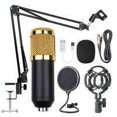 thumbnail image 2 of Kit d'Enregistrement Studio Chantant Téléphone PC KTV Microphone Réseau Bras Pliant, Noir Doré, 2 of 6