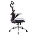 thumbnail image 2 of Ergonomic Mesh Office Chair, Home Computer Chair with Filp-up Arms and Tilt Backrest, High Back Office Chair with Lumbar Support and Blade Wheels for Home, Office, 2 of 7