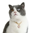 thumbnail image 1 of Dsseng Excellent Collier pour Animaux Ajustable pour Tir Résistant à la Corrosion, 1 of 7