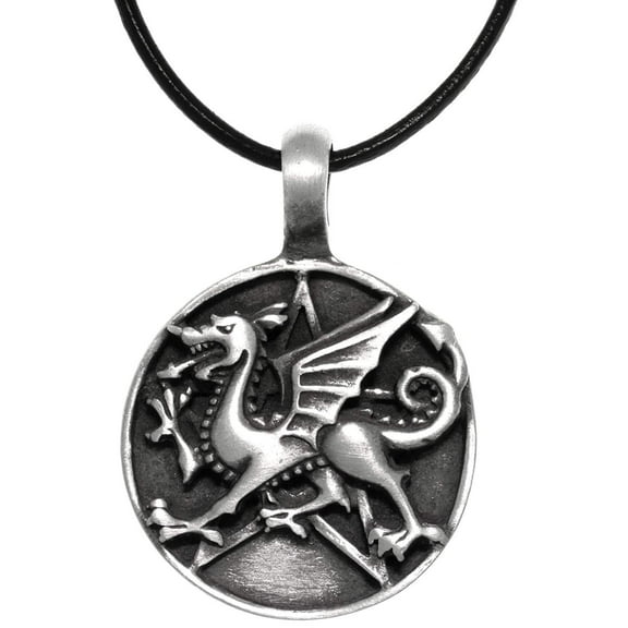 Jewelry Trends Pewter Dragon Star Round Medallion Pendant on Black Leather Necklace
