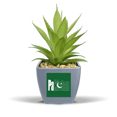 thumbnail image 1 of Pakistan Country Flag Name Fake Pineapple Flower Pot Vase Mini Decor, 1 of 3