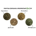 thumbnail image 3 of Calming Blends Diverticulitis and Diverticulosis Tea | Certified Organic, Caffeine Free, Supports Digestive Health | 2 Pack NEW, 3 of 8