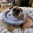 thumbnail image 3 of Hioecau Dog Cone Collar Soft Adjustable Donut Collar with Drawstring Dog Cone Alternative After Surgery for Large Medium Small Dogs And Cats, 3 of 8