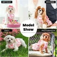thumbnail image 5 of Newborn Brand Dog Dress Harness With Leash Set Pet Puppy Cat Vest Clothes, 5 of 8