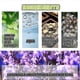 thumbnail image 3 of Tinnitus Relief Spray for Ringing Ears Ear Drops 30ml, 3 of 5