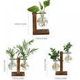 Plant Terrarium with Wooden Stand,Air Planter Bulb Glass Vase Metal