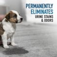 thumbnail image 3 of HOOVER Oxy Pet Urine & Stain Eliminator Carpet Cleaning Formula UDC, 3 of 13