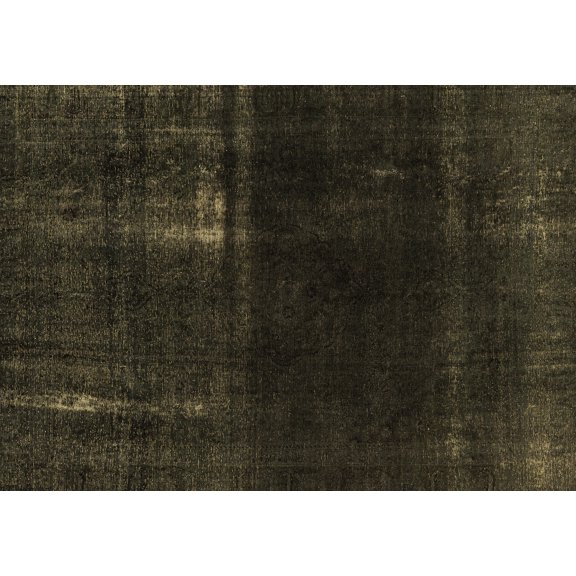 Ahgly Company Indoor Rectangle Persian Brown Bohemian Area Rugs, 6' x 9'