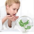 thumbnail image 1 of Fiudx Jabón Natural, Limpiador Artesanal de Helecho Orgánico, Hidratante Suave y Aminoácidos, Ideal para Baño Facial y Corporal, Apto para Adultos y Niños, 80 G, Tamaño de Viaje, 1 of 7