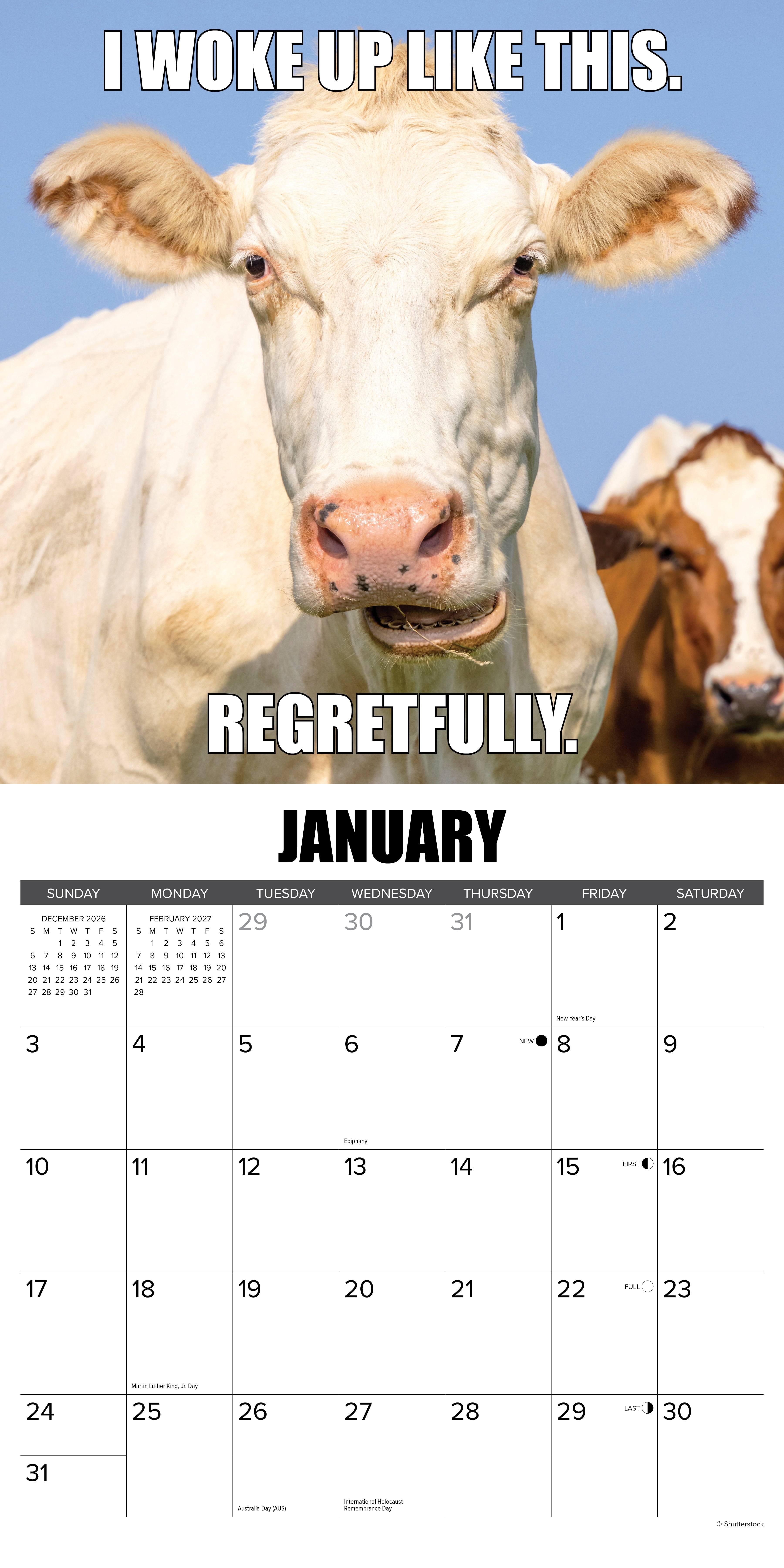 Willow Creek Press, Not in the Mooood 2027 Wall Calendar