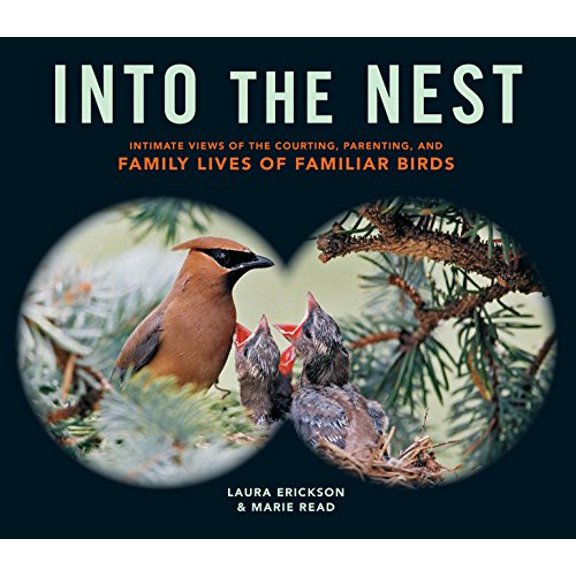 Pre-Owned Into the Nest: Intimate Views of the Courting, Parenting, and Family Lives of Familiar Birds (Paperback) 1612122299 9781612122298