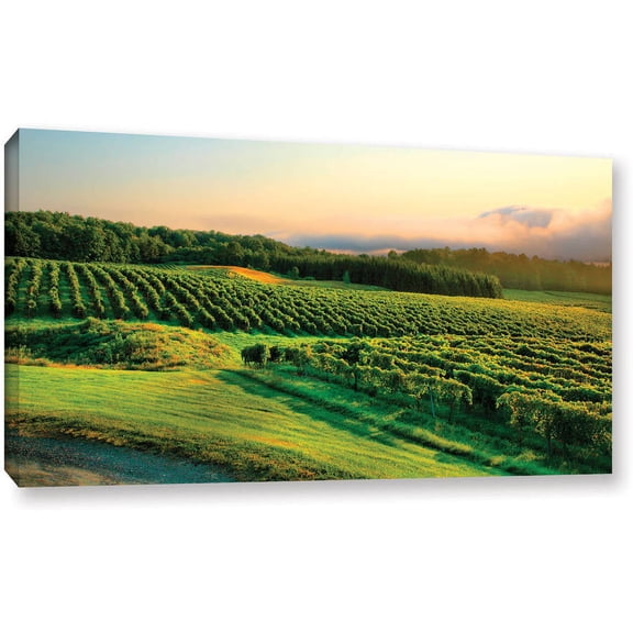 ArtWall Steve Ainsworth "Hill-Top Vineyard" Gallery-wrapped Canvas