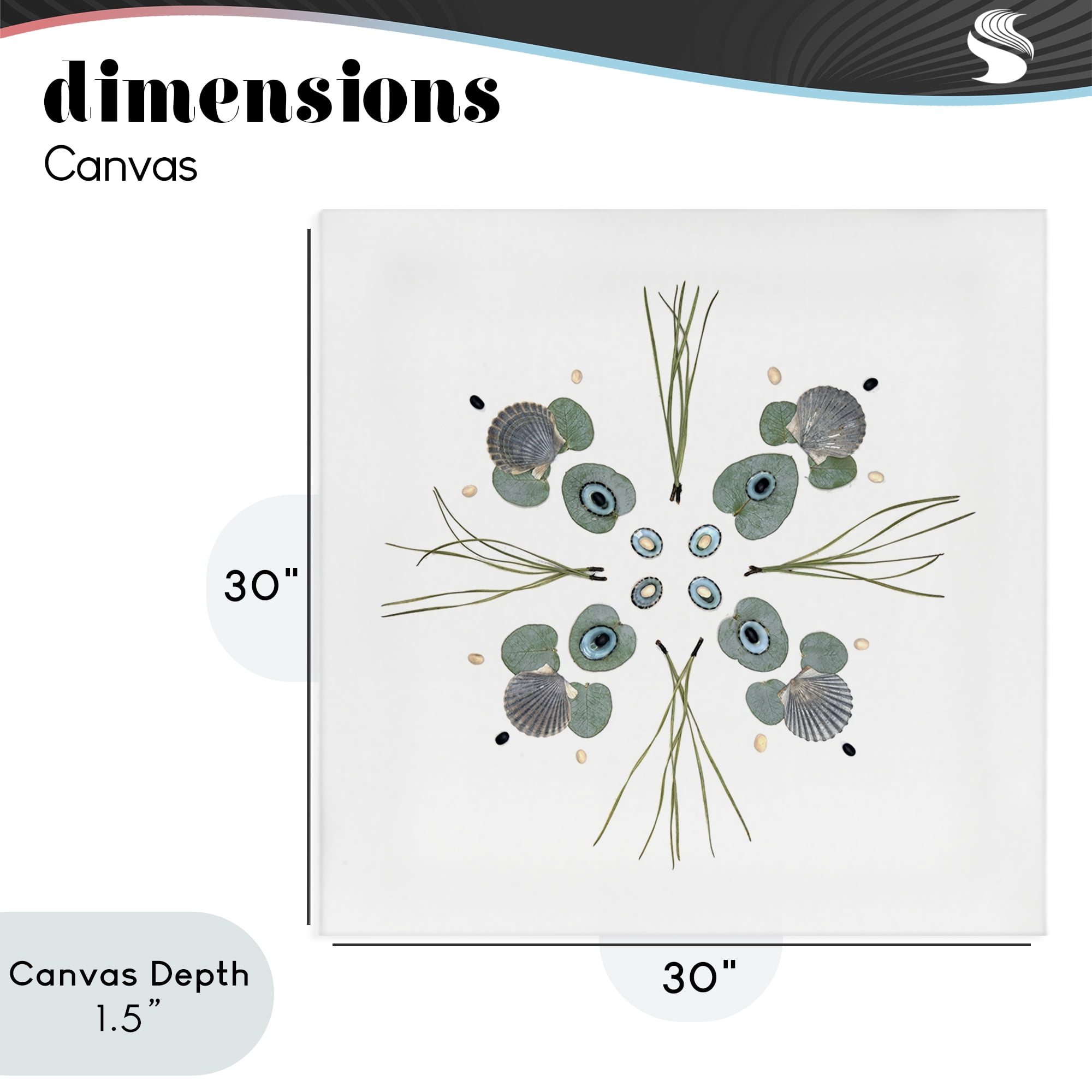 Stupell Industries Seashell & Leaf Symmetry Canvas Wall Art, design by Beth Adoette
