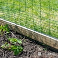 thumbnail image 6 of Fencer Wire 16 Gauge Green Vinyl Coated Rabbit Guard Fence, Poultry Fencing Wire Roll for Garden Yard Vegetable Plant, Protecting Against Rabbits, and Other Small Animals Damage (24 in. x 50 ft.), 6 of 9