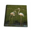 3dRose Greater Flamingoes, Nyae Nyae Conservancy, Tsumkwe, Namibia, Africa. - Mini Notepad, 4 by 4-inch