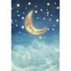 thumbnail image 2 of Telón de fondo ABPHQTO 150x220cm Luna dorada y estrella Cielo nocturno, 2 of 2