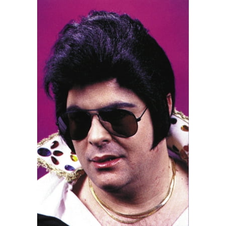 Rock N' Roll Stars Wig Adult Halloween Accessory