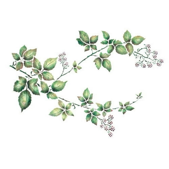The Mad Stencilist Blackberry Vine Wall Stencil TMS5116 by Designer Stencils