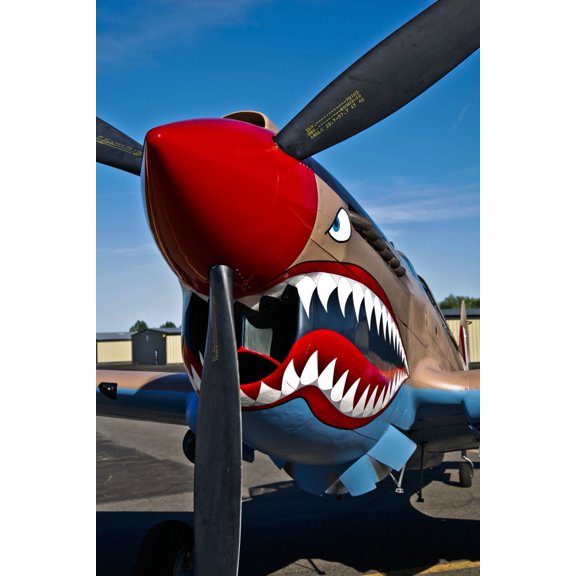 Nose art on a Curtiss P-40E Warhawk Canvas Art - Scott GermainStocktrek Images (12 x 18)