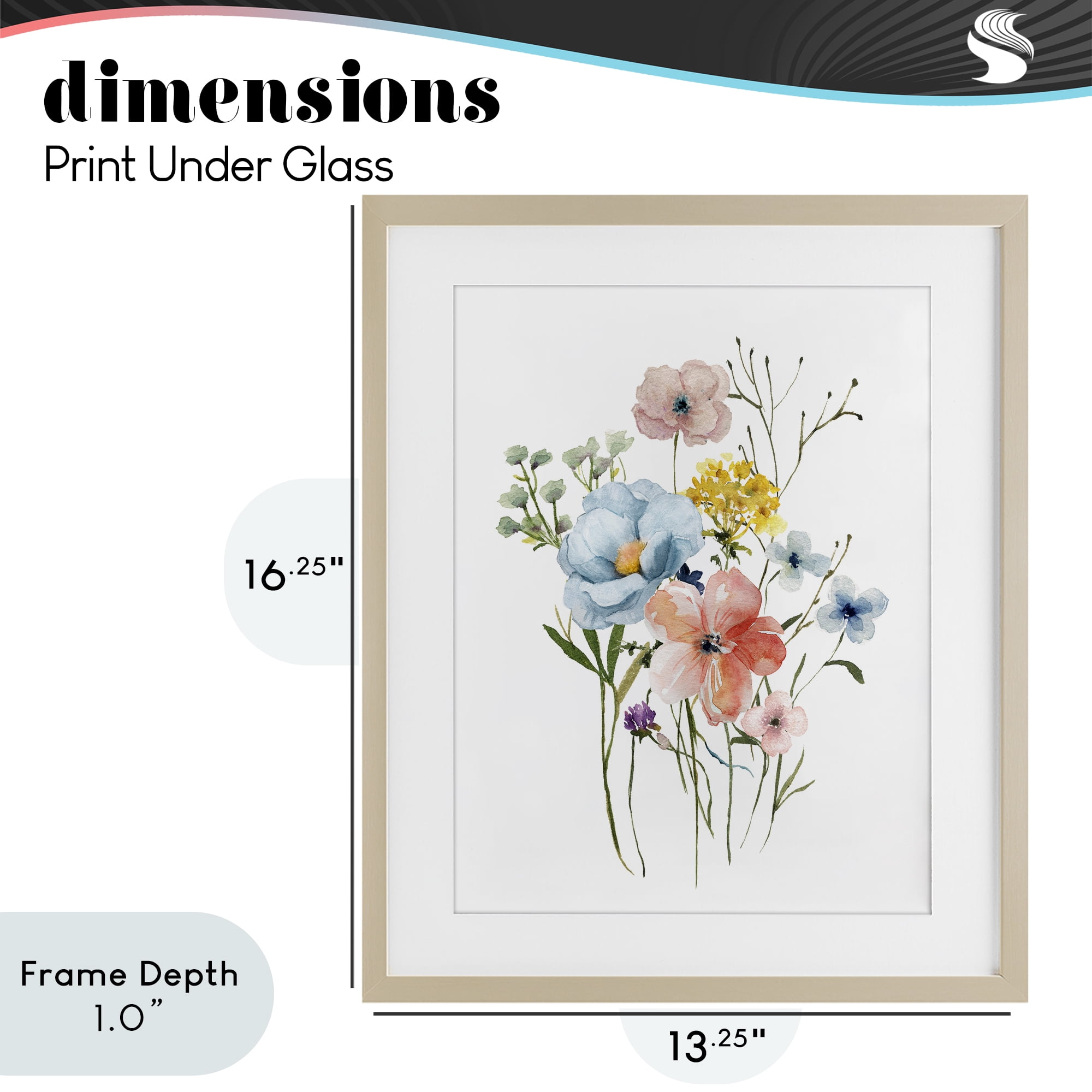 Stupell Industries Spring Meadow Wild Flowers Birch Framed Print Under Glass, design by Livi Finn