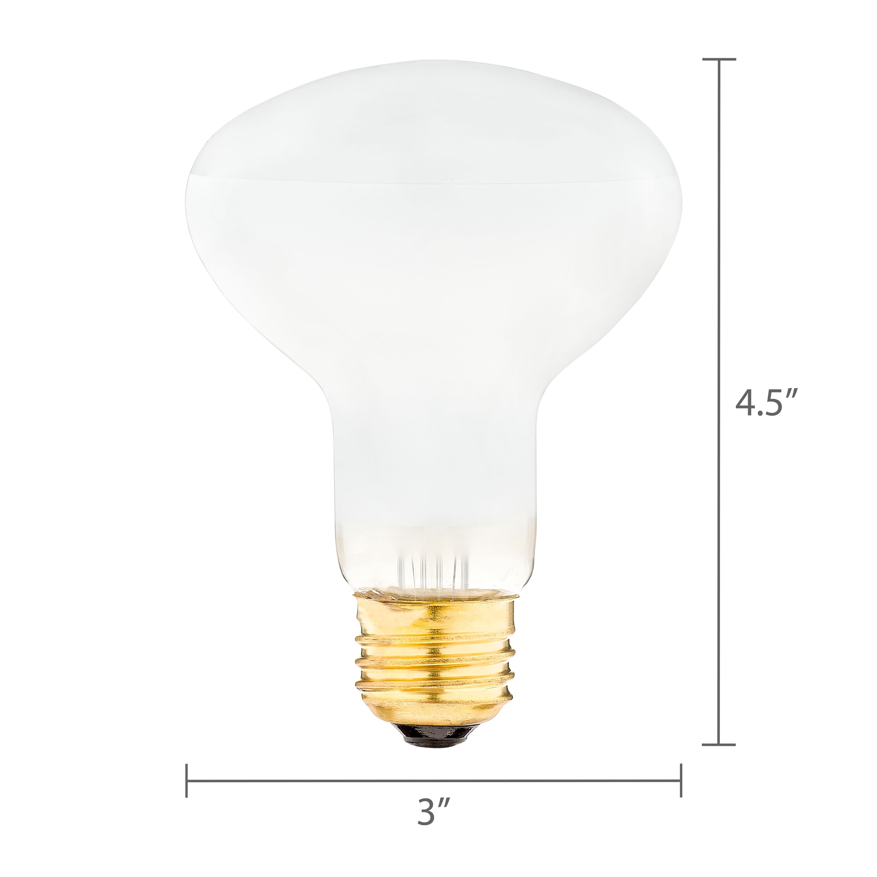 Vibrant Life Basking Bulb for Reptiles, 100 Watts, Terrarium Habitat Lighting