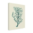 thumbnail image 2 of Trademark Fine Art 'Corals Turquoise On Cream B' Canvas Art by Fab Funky, 2 of 3