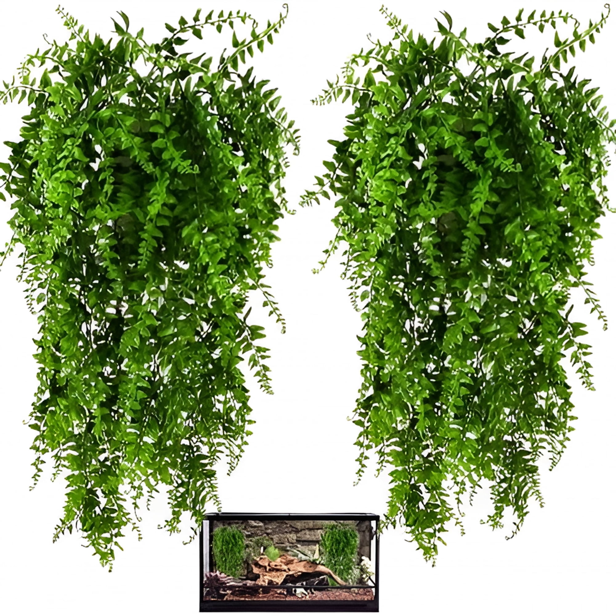 ZULAR 2 Pack Reptile Plants,Terrarium Hanging Plants Vines Artificial Leaves Habitat Decorations with Suction Cup for Bearded Dragon Hermit Crab Lizard Snake Geckos Chameleon
