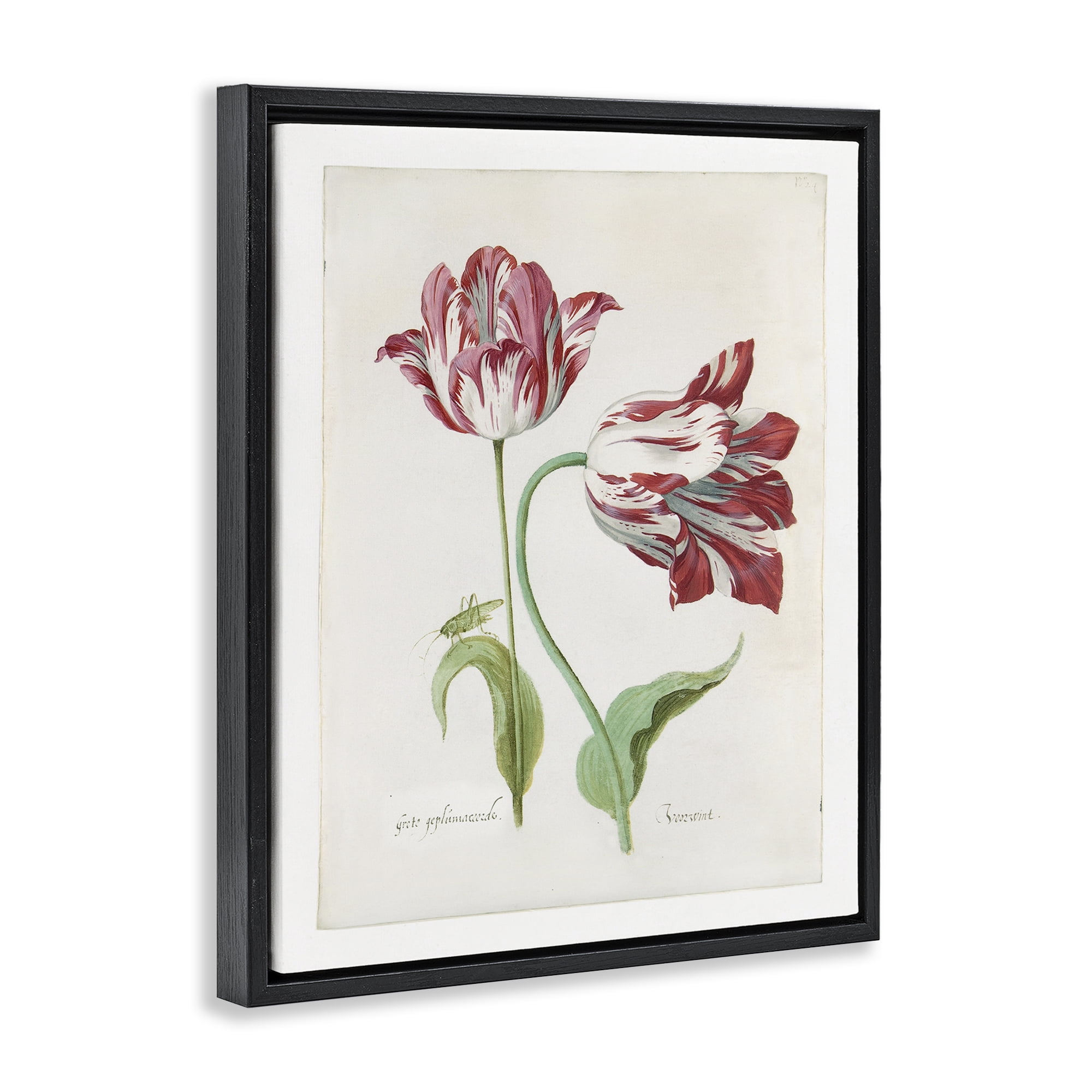 Stupell Industries Classic Tulip Study Plants & Flowers Painting Black Floater Framed Canvas Art Print Wall Art, 25 x 31