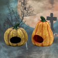 thumbnail image 2 of Simulation Pumpkin Shelter House Fish Shrimps Hideout House Playpen For Fish Tank Aquarium Decoration He Qiyong unisex, 2 of 2