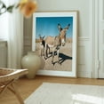 thumbnail image 6 of Wild Burros, Oatman 01 - Oatman Arizona Photography Desert Nature Animal Rural Wildlife Farmhouse Rustic Oak Framed Wall Art Print 11 x 14 inches, 6 of 12