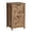 Honey Brown, variant on VASAGLE File Cabinet, 2-Drawer Filing Cabinet for Home Office, Modern Farmhouse, Adjustable Hanging Rail for A4 Letter Files, Printer Stand, Study Bedroom, Rustic White and Honey Brown