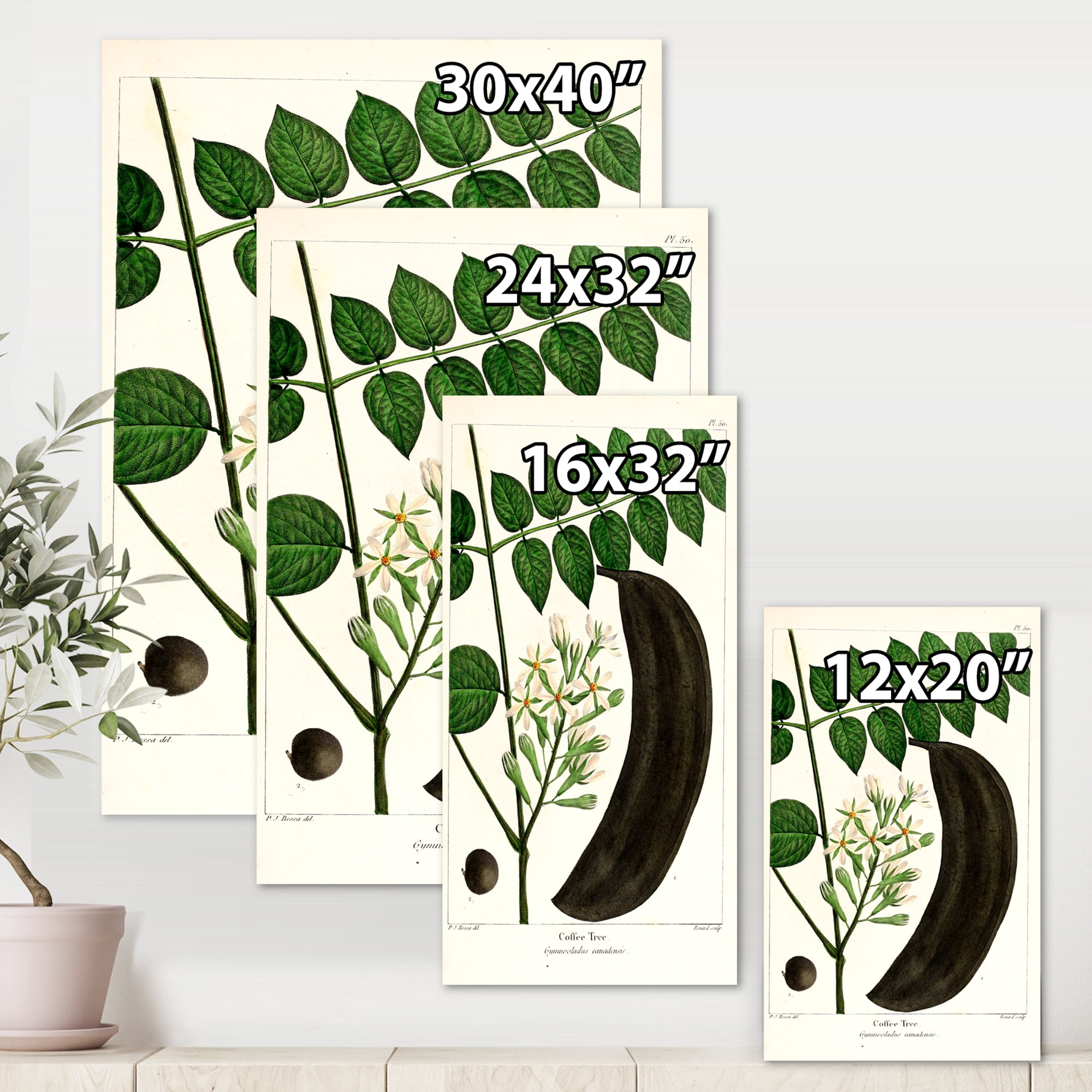 Designart ' Ancient Plant Life IX ' Traditional Canvas Wall Art Print